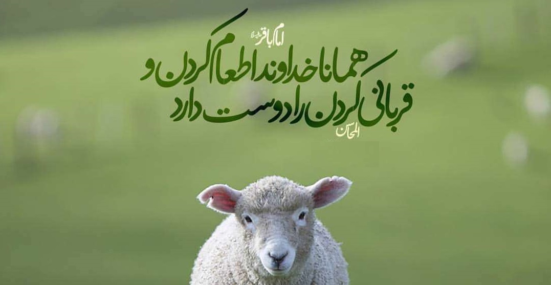 انجام قربانی انجام قربانی