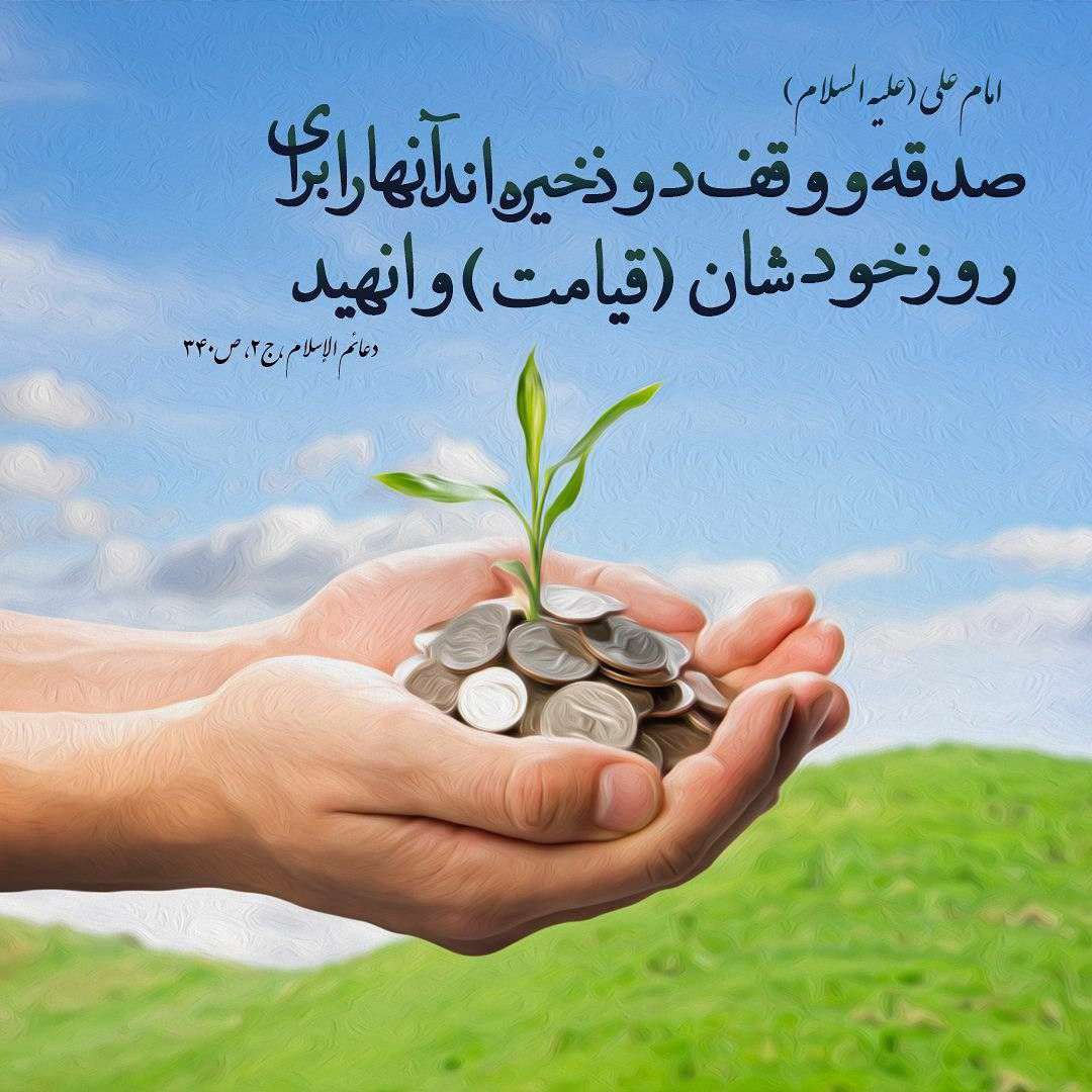 وقف وقف